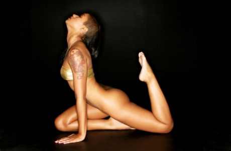 Brazzilian Shyla Stylez Interracial hot nude galleries