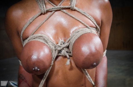 Brazzilian Gianna Michaels Threesome art nude gallery