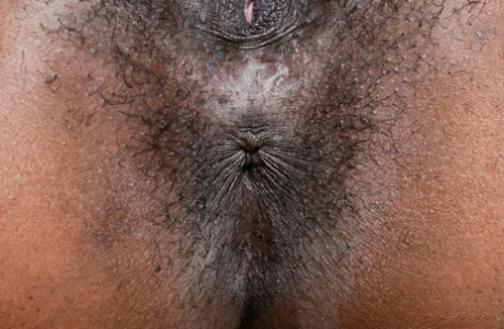 African Zulu nude galleries