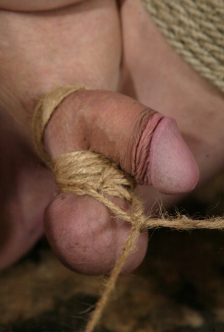 Brazzilian Pulsating Cock nude archive