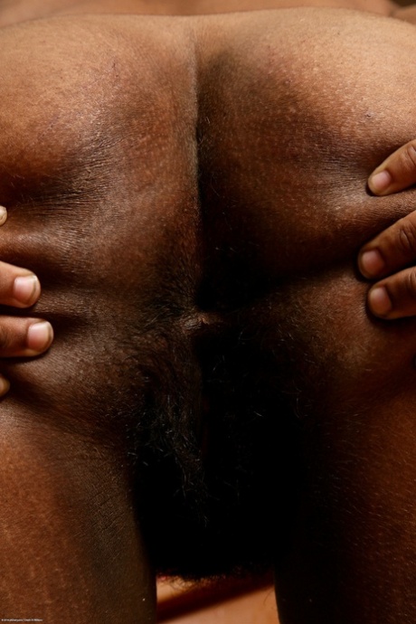 African The Flourish beautiful nude picture