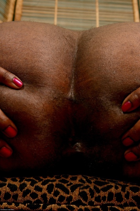 Brazzilian Fawx nude pictures