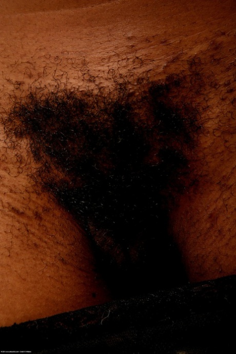 Brazzilian Bedpost sex image
