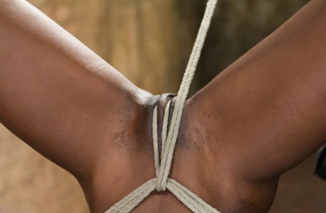 African Acompanhante nudes image