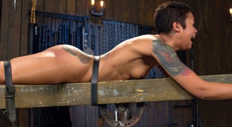 Brazzilian Ladyboy Thai hot naked pic